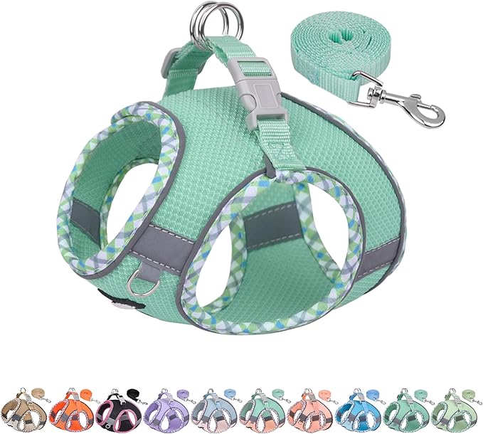 AIITLE Dog Harness and Leash Set - Ultra-Comfortable XXS-XL Vest with Strong Magic Tape & Glow-in-Dark Reflective Strips, Chafe-Free for Teddy, Schnauzer (Turquoise, M)