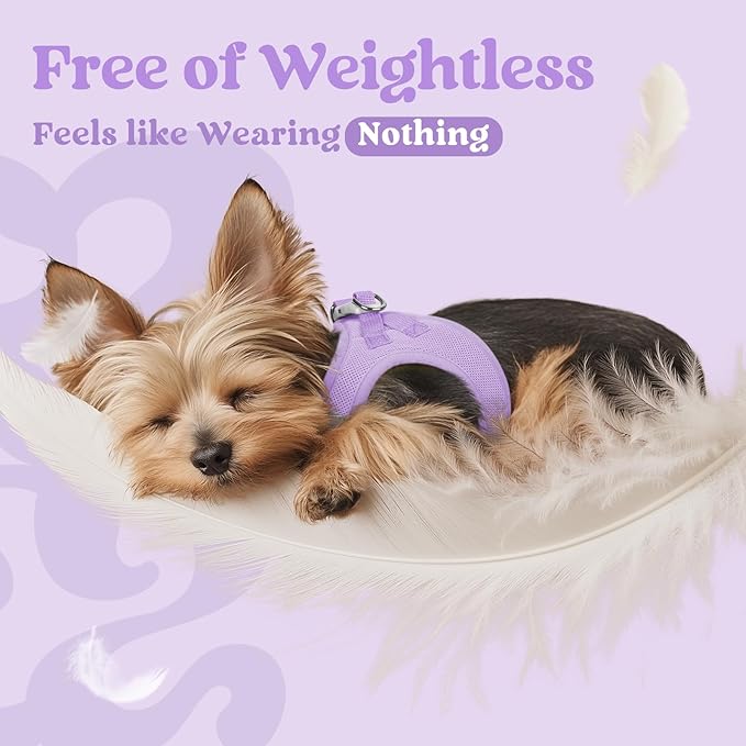 rabbitgoo Small Dog Harness, Step-in Soft Mesh Puppy Vest with Safety Buckle, Breathable Reflective Pet Harness for Extra Small Dogs, Light Purple XXXS
