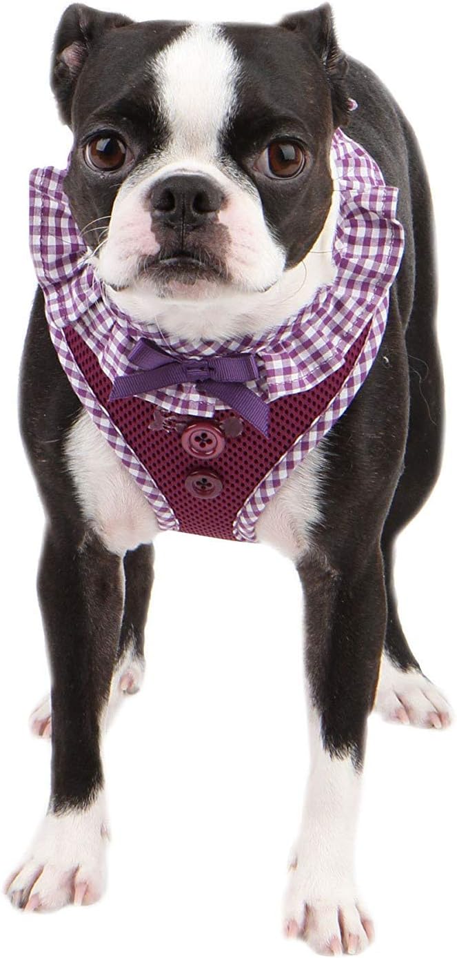 Authentic Puppia Vivien Harness, Purple, Medium
