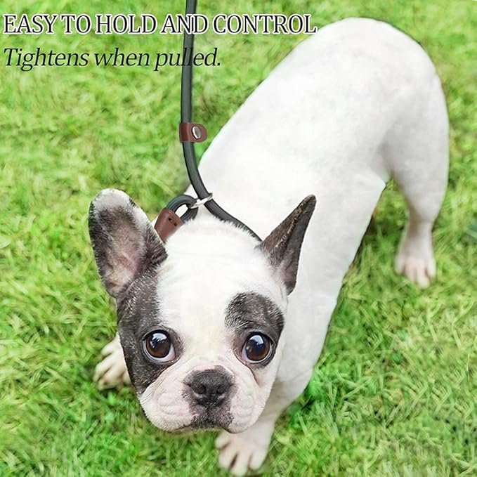 MayPaw Slip Lead Control Leash for Dogs No Pull, 13+ Colors Classic Dog Lead 7FT Pet Slip Leash, 1/4” Rope Leashes for Small Medium Animals (7ft*1/4", Dark Green)