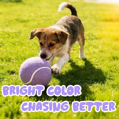 Banfeng Big Tennis Ball for Dogs, Giant Dog Tennis Ball Toy Large Outdoor Sports Gift for Small Medium Large Dog (Light Purple, 9.5 inch)