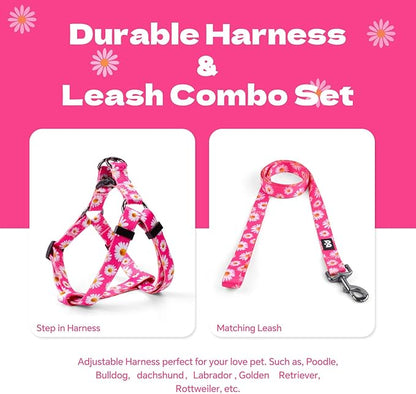 QQPETS Dog Harness Leash Set Adjustable Heavy Duty No Pull Halter Harnesses for Small Medium Large Breed Dogs Back Clip Anti-Twist Perfect for Walking (M(19"-26" Chest Girth), Daisy)