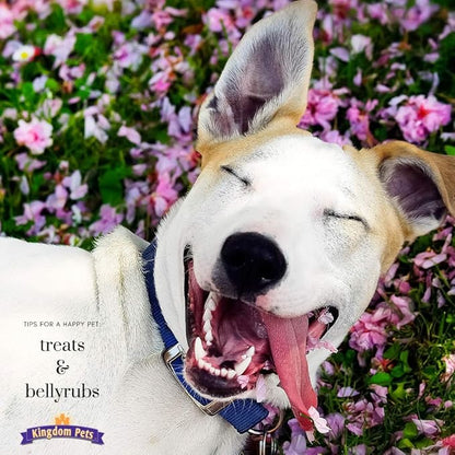 Chicken Jerky Dog Treats with Only 3 Ingredients and No Fillers, 3 Pound Bag