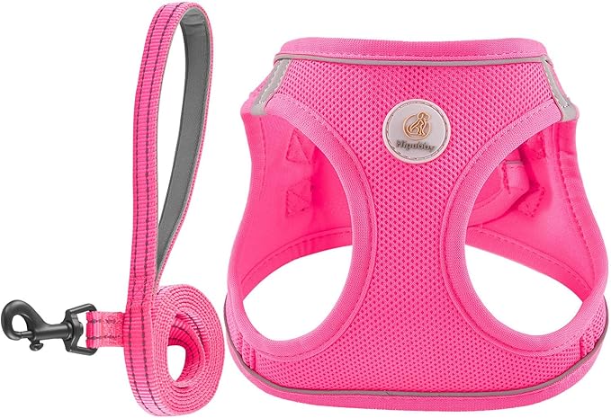 Hipubby Dog Harness and Leash Set, No Pull Soft Mesh Puppy Harness for Small Medium Dogs, Cats - Step in Reflective Breathable Lightweight Vest Harness for Walking, Training - Rose Red, L