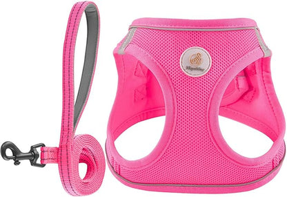 Hipubby Dog Harness and Leash Set, No Pull Soft Mesh Puppy Harness for Small Medium Dogs, Cats - Step in Reflective Breathable Lightweight Vest Harness for Walking, Training - Rose Red, M