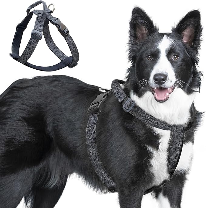 Galaxy Reflective Dog Harness,Adjustable 4-Point Fit,Anti-Pinch Buckles,Back-Clip Control & Emergency Handle,Velvet Lined for Small, Medium and Large Dogs, (Black, M)