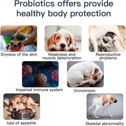 Probiotics for Dogs, Dog Probiotics for Yeast, Itchy Skin and Itchy Ears, Digestive Enzymes with Prebiotics for Digestive Health, Probiotic Chews for Dogs Support Immunity Health - (Chicken 12 Oz)