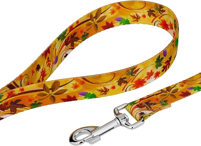 Country Brook Petz - Autumn Wind Everyday Dog Collar and Leash - Awesome Autumn Collection Featuring Designs You'll Fall for (5/8 Inch, Small)