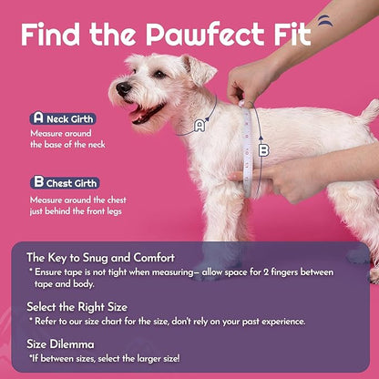 Eagloo Small Dog Harness and Leash Set, Step in Puppy Vest with Breathable Soft Mesh, Walking Reflective Pet Harness for Extra Small Dogs, Rose Red, XXS