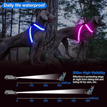 ChalkLit Light Up Dog Harness, No Pull Led Dog Harness Glow-in-The-Dark for Night Walking, USB Rechargeable Lighted Safety Vest for Small Dogs, Adjustable Soft Mesh Fully Illuminated (Blue, Small)