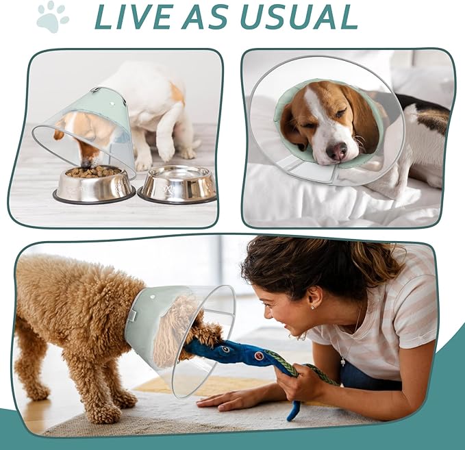 Dog Cone Collar with Snap-on Detachable Soft Liner, Lightweight Transparent Elizabethan Alternative to Stop Licking, for Spay Neuter Surgery Recovery, for Medium Large Small Dogs (Green,L)