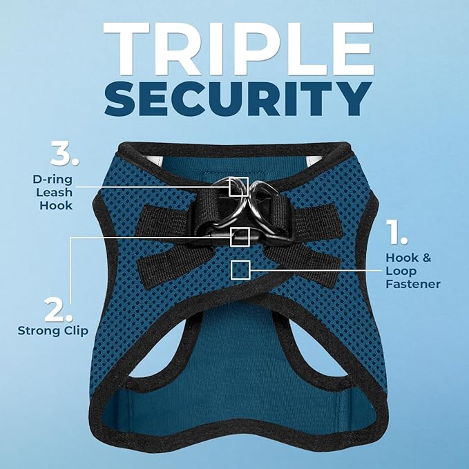 Best Pet Supplies Voyager Step-in Air All Weather Mesh Harness and Reflective Dog 5ft Leash Combo with Neoprene Handle, for Small, Medium and Large Breed Puppies - Set (Blue/Black Trim), Medium