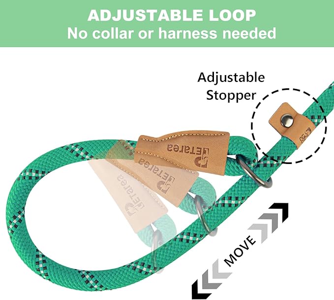 5 FT Slip Lead, Heavy Duty Rope Dog Leash for Small Medium Large Dogs, No Pull Training Lead with Reflective Thread, Strong Comfortable Loop Leash (Green Stripe, Medium(3/8"))