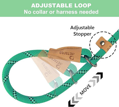 5 FT Slip Lead, Heavy Duty Rope Dog Leash for Small Medium Large Dogs, No Pull Training Lead with Reflective Thread, Strong Comfortable Loop Leash (Green Stripe, Medium(3/8"))