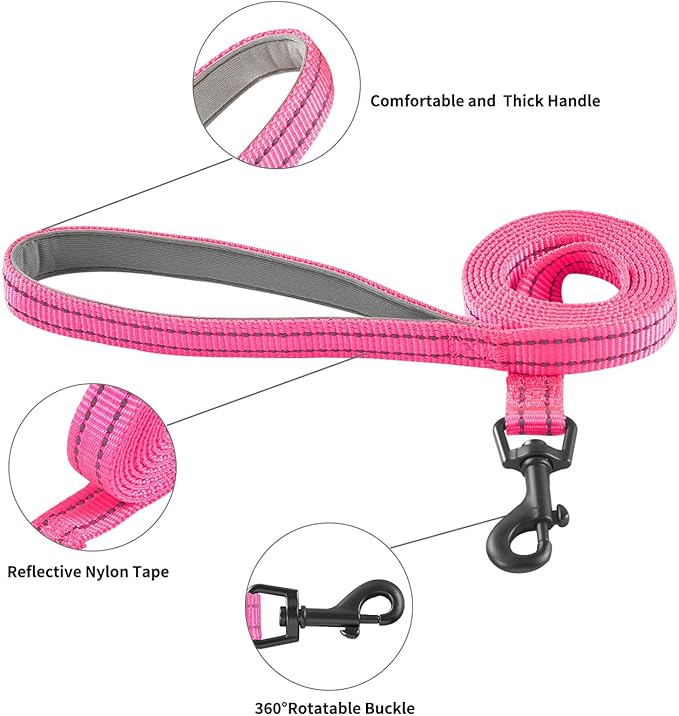 Hipubby Dog Harness and Leash Set, No Pull Soft Mesh Puppy Harness for Small Medium Dogs, Cats - Step in Reflective Breathable Lightweight Vest Harness for Walking, Training - Rose Red, L