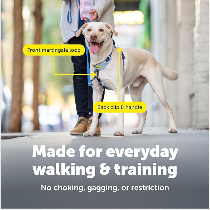 PetSafe Easy Walk Comfort No-Pull Dog Harness - Better Walk Training Harness - Full Body Padded Design - Durable Fabric - 5 Point Adjustable Fit - Everyday Leash Training - Black - Small/Medium