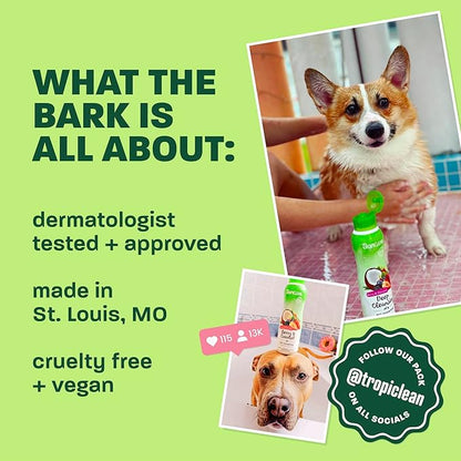 TropiClean Dog Conditioner, Easy Detangling & Moisturizing Conditioner, Puppy Safe, Made in the USA, Kiwi & Cocoa Butter Scent, 20oz.