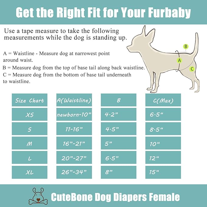 CuteBone Dog Diapers Female Washable Small Medium Large 3 Pack Reusable Doggie Diapers Puppy Period Pants for Doggy Heat Cycle Peeing D36M
