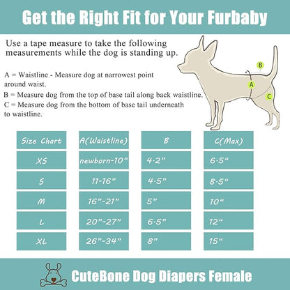 CuteBone Dog Diapers Female Washable Small Medium Large 3 Pack Reusable Doggie Diapers Puppy Period Pants for Doggy Heat Cycle Peeing D36M