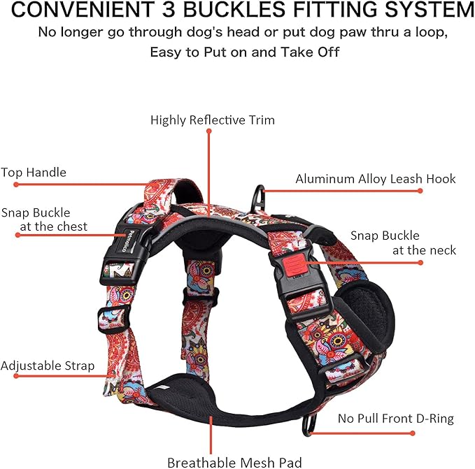Petmolico No Pull Dog Harness Set with Leash Attachment Easy Control Handle Reflective Harness Vest Small Breed, Puppy Vest and Leash Set with Poop Bag Holder, Small - Boho Floral