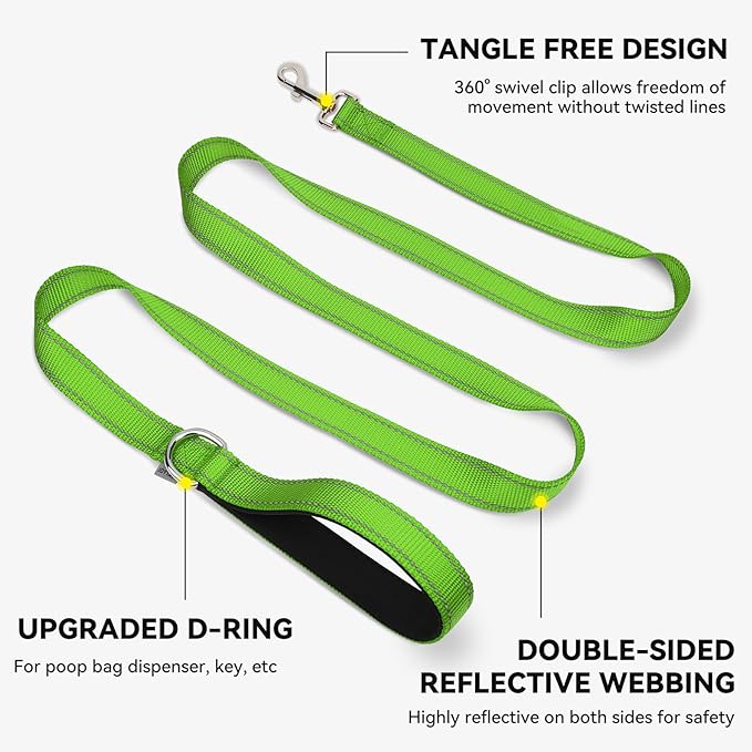 Joytale Dog Leash, 6 FT Double-Sided Reflective, Padded Handle Nylon Heavy Duty Leashes for Medium & Large Dogs Walking, Green