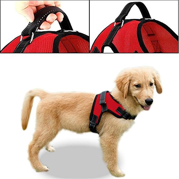 No Pull Reflective Adjustable Dog Harness with Handle- Comfortable Soft All Weather Mesh, Easy On Puppy Harness for Small Medium and Large Dogs (Red) Large