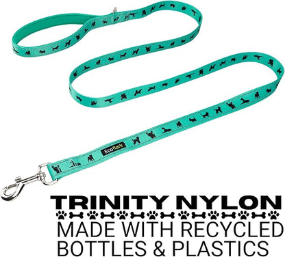EcoBark Dog Leash - Soft & Reflective Comfort Leashes with Padded Handle - Strong Durable Heavy Duty - Training and Pulling for Small, Medium or Large Dogs (Turquoise)