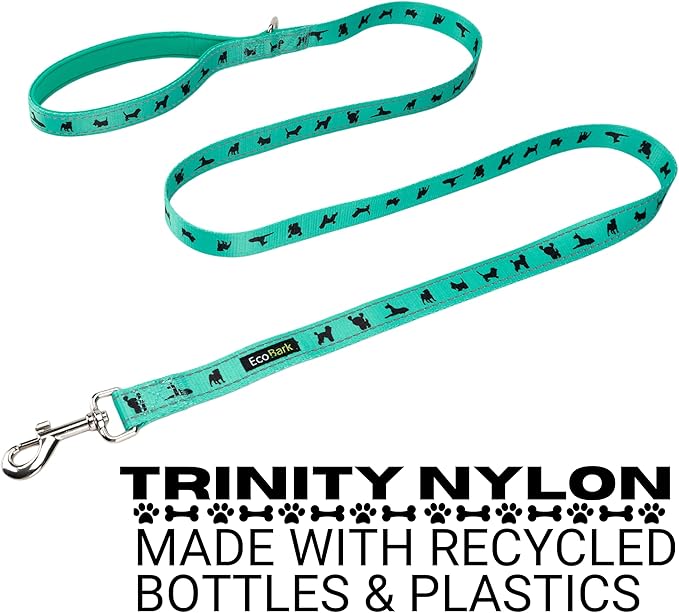 EcoBark Dog Leash - Soft & Reflective Training Leashes with Padded Handle - Soft, Strong, & Durable for Small, Medium or Large Dogs (Turquoise)