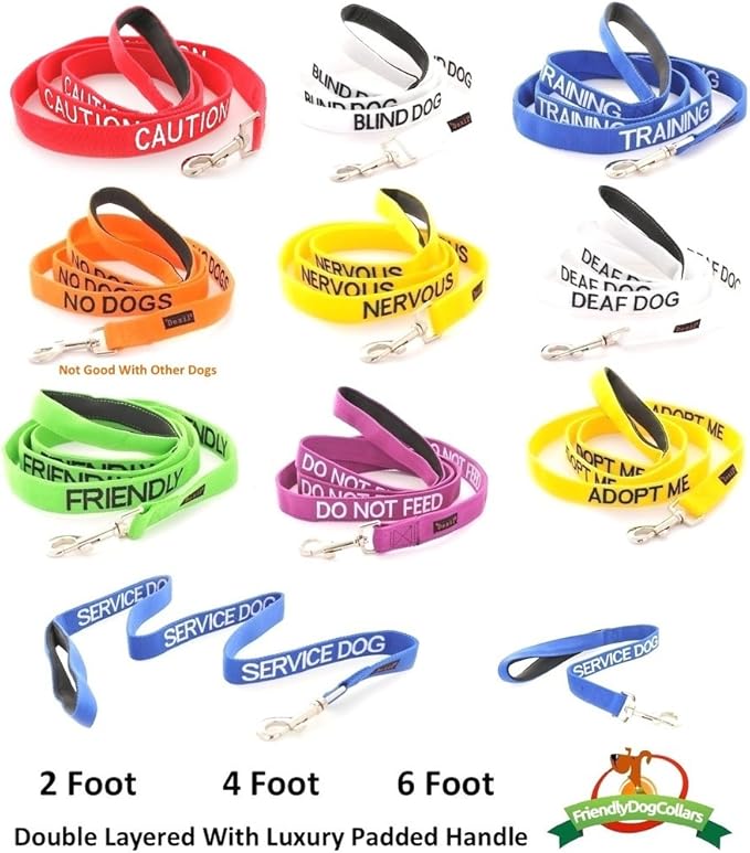 NERVOUS Yellow Color Coded 2 4 6 Foot Padded Dog Leash (Give Me Space) PREVENTS Accidents By Warning Others of Your Dog in Advance (Standard Leash)