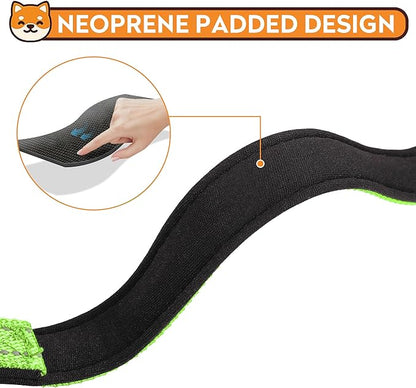 Reflective Dog Collar, Adjustable Soft Neoprene Padded Nylon Pet Collars with Buckle for Medium Dogs, Green,M