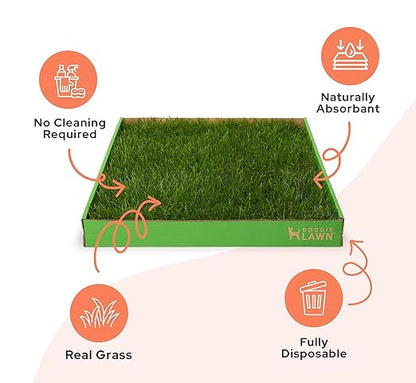 DoggieLawn Real Grass Puppy Pee Pads- 24 x 24 Inches - Perfect Indoor Litter Box for Dogs - No Mess, Easy-to-Use - Potty Training for Pets - Eco-Friendly Disposable Bathroom with Real Living Grass