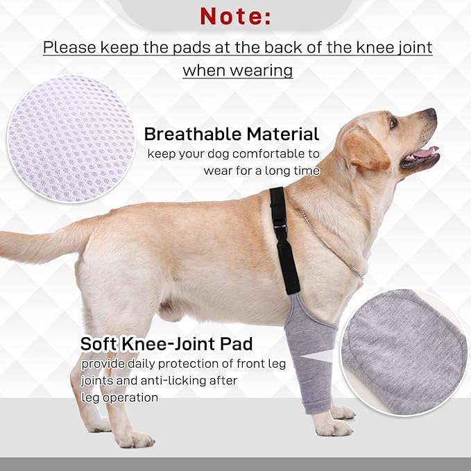 Dog Recovery Suit for Front Legs, Dog Recovery Sleeves After Surgery with Elastic Band, Soft Protective Elbow Braces for Medium Large Dogs, Cone Collar Alternative to Stop Licking Leg Wounds,Grey,2XL