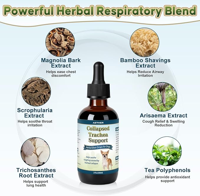 Collapsed Trachea Support for Dogs, Support Tracheal & Respiratory Health, Trachea Cough Elixir, Airway & Throat Comfort Drops for Small Breeds, Dogs Dry Hacking Cough Relief, Herbal Formula 2 fl oz