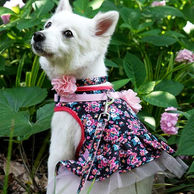 Blueberry Pet New Soft & Comfy Made Well Elegant Floral No Pull Mesh Puppy Dog Costume Harness Dress in Sleek Black, Chest Girth 14"-16", X-Small, Adjustable Harnesses for Dogs