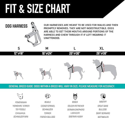 Wolfgang Heavy Duty Adjustable Dog Harness, Pull-Tested for Walking & Training, GreatEscape Print, Small