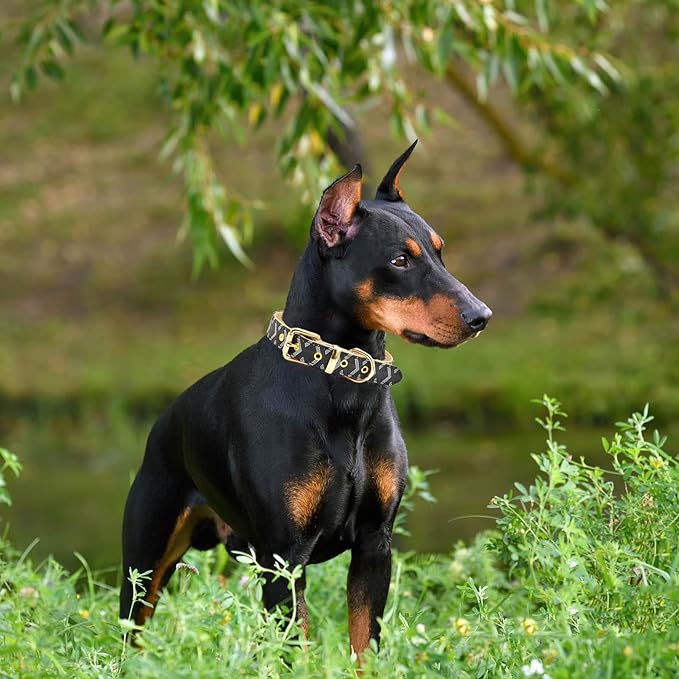Leather Dog Collar and Leash Set, Check Pattern Dog Collar Leashes Metal Buckle Adjustable Durable for Small Medium Large Dogs (Black, XL(18-22IN))
