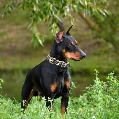Leather Dog Collar and Leash Set, Check Pattern Dog Collar Leashes Metal Buckle Adjustable Durable for Small Medium Large Dogs (Black, XL(18-22IN))