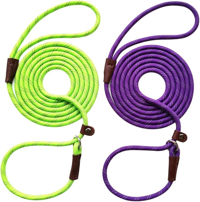 WYUZE 2 Pack 8 ft Slip Lead Dog Leash, Reflective No Pull Dog Training Lead, 1/3" Nylon Rope Slip Leash for Small Medium Dogs (Purple+Green)