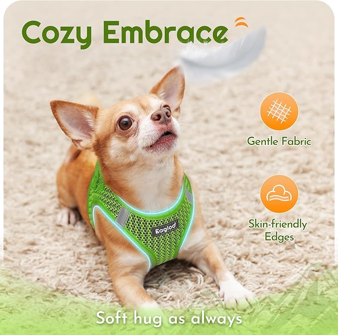 Eagloo Small Dog Harness and Leash Set, Step in Puppy Vest with Breathable Soft Mesh, Walking Reflective Pet Harness for Extra Small Dogs, Green, XXS