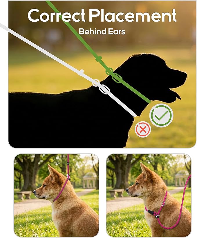 TagME 6ft Slip Dog Lead, No Pull Reflective Training Leash with Padded Handle, Professional Rope P-Leash for Small Medium Large Dogs, Heavy Duty Correction Lead for Walking & Training (Hot Pink)