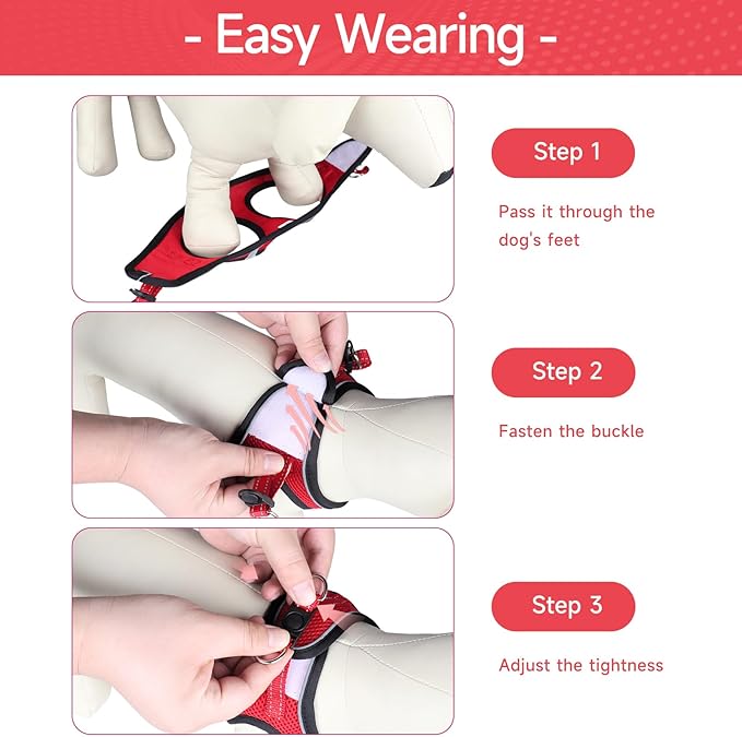 Dog Harness for Small Dogs and Leash Set, Honeycomb Grid, Reflective Lightweight Harness & Anti-Twist Pet Lead Multi Color, Size: XS-S-M. (M, Black & Red)