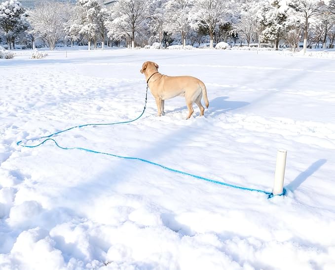 8FT Dog Tie Out Leash, Long Tether 10-13-15-20-25-30-35-40-50-65 FT Nylon Rope Check Cord for Medium Large Dogs Yard Outdoor Playing Camping Backyard (Black, 3/8")
