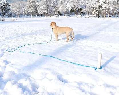 20FT Dog Tie Out Leash, Long Tether 10ft 15ft 20ft 30ft Nylon Rope Check Cord for Medium Large Dogs Indoor/Outdoor Playing Camping Backyard (Blue, 3/8")