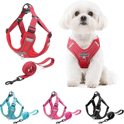 Dog Harness and Leash Set, Adjustable Triangle, Reflective Adjustable Puppy Vest, No Pull Soft Mesh Harness for Small, Medium Dogs, Cats (Red, S)