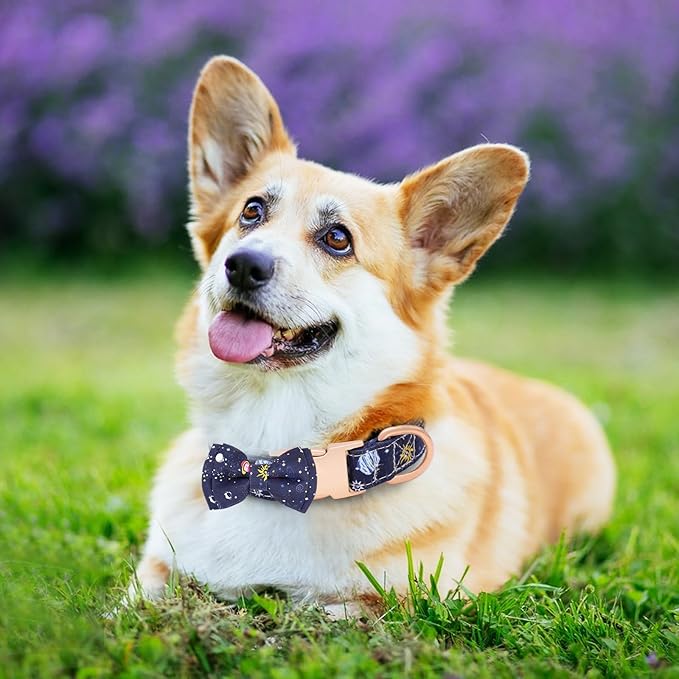 Dog Collar and Leash Set Adjustable Girls Puppy Floral Collars with Bow Tie for Small Medium Large Dogs(L, Blue Planet)
