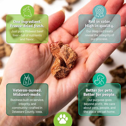 Simplified Freeze Dried Beef Liver Treats for Dogs & Cats – 100% Natural Single Ingredient – High Protein Snack – All Breeds – Made in USA – 4oz Bag (Small size pieces for cats & dogs under 15lbs)