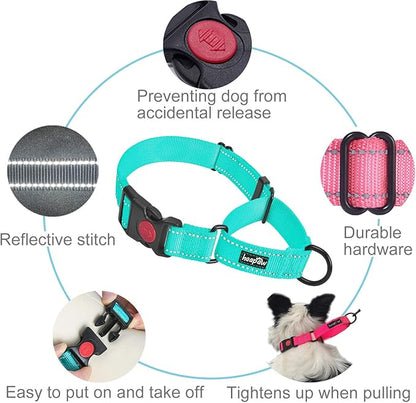 haapaw 2 Packs Martingale Dog Collar with Quick Release Buckle Reflective Dog Training Collars for Small Medium Large Dogs (Large, Turquoise/Turquoise)