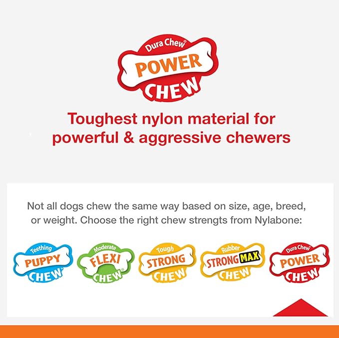 Nylabone Original Wishbone Power Chew Toy for Dogs, Dog Toys for Aggressive Chewers, Original Flavor, Medium - Up to 35 lbs, 1 Count