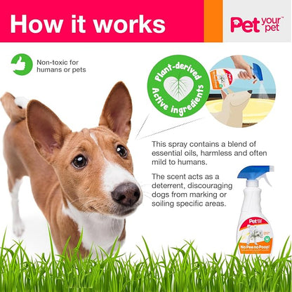 Dog Potty Training Spray No Pee No Poop, 16 Fl Oz, Non Toxic Spray for Dogs Only, Natural Pee Deterrent, Prevents Urine Marking and Pooping, Indoor Outdoor House Training Aid
