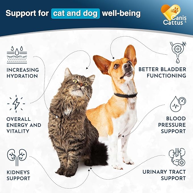 Canis&Cattus Urinary Tract Health Treatment for Dogs – Natural Herbal UTI Support Drops with Cranberry Extract - Promotes Bladder & Kidney Support - Turkey Flavor – 2 oz